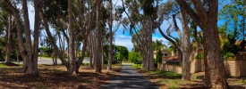 Carmel Valley